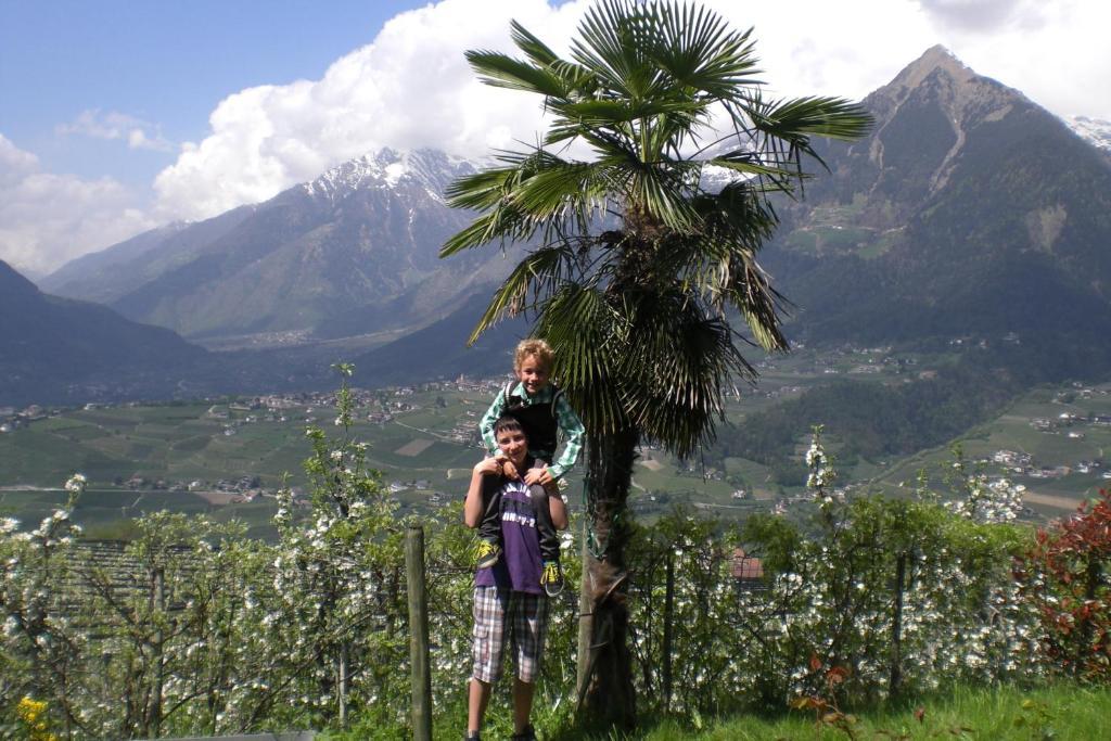 Krebishof Agriturismo Schenna Buitenkant foto