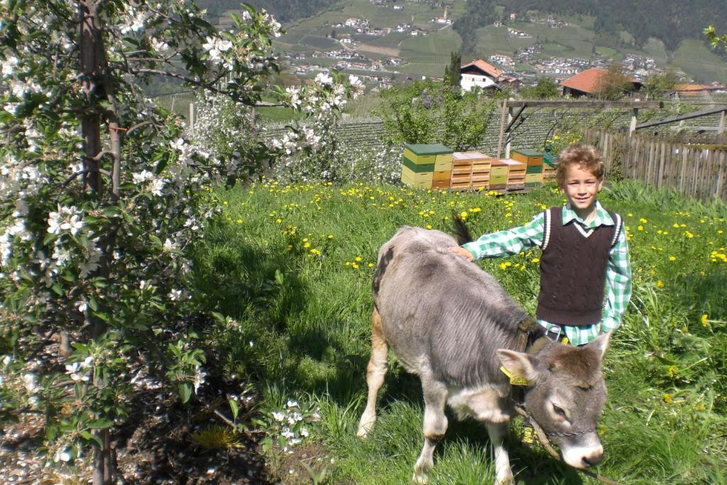 Krebishof Agriturismo Schenna Buitenkant foto